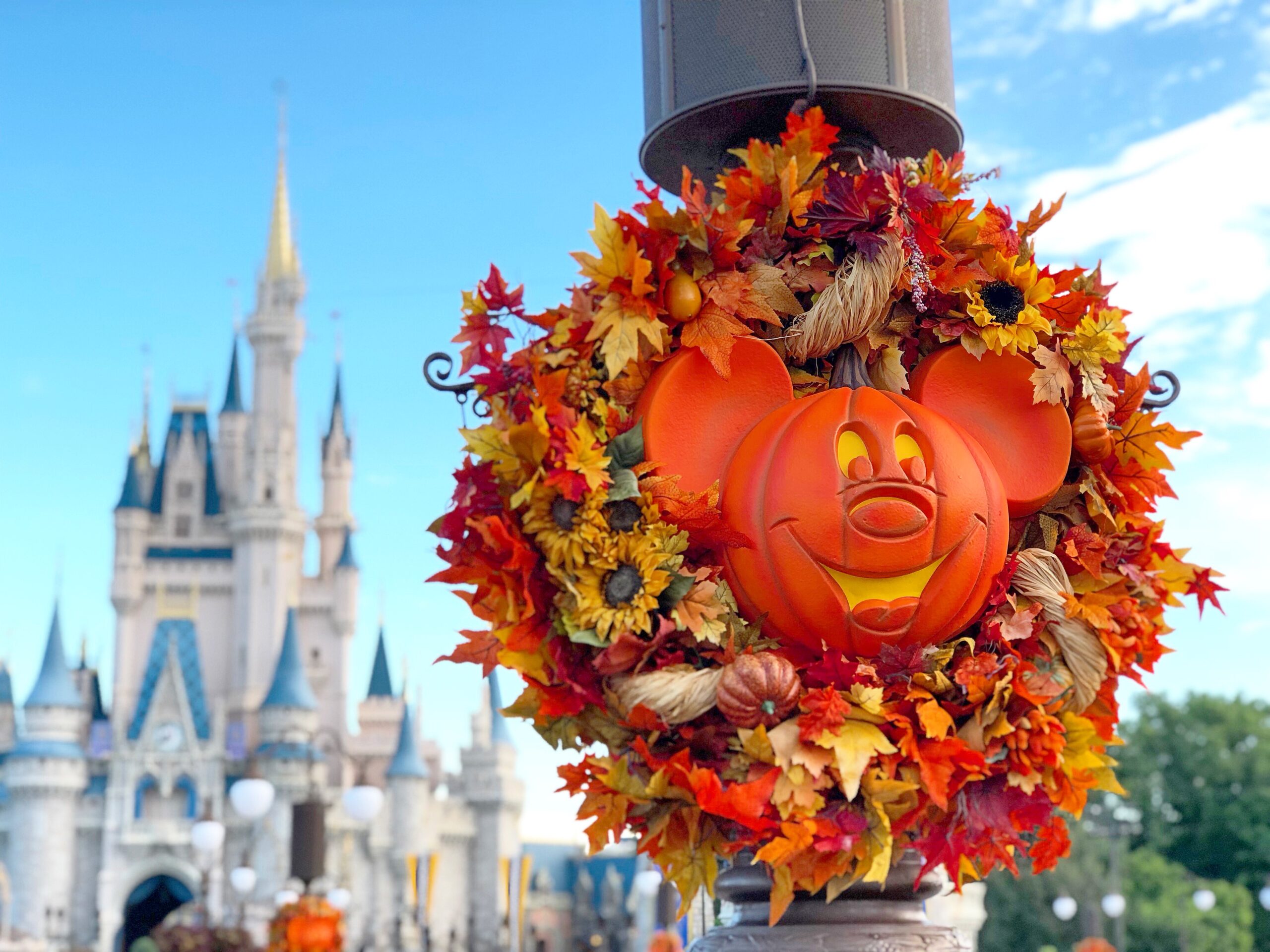 Disney Tumbler with Straw - Mickey's Not So Scary Halloween Party 2019